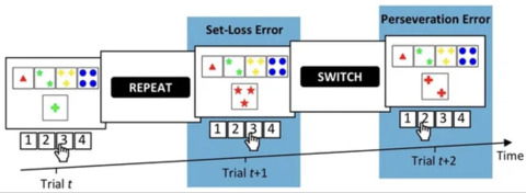 Context-dependent learning and flexibility